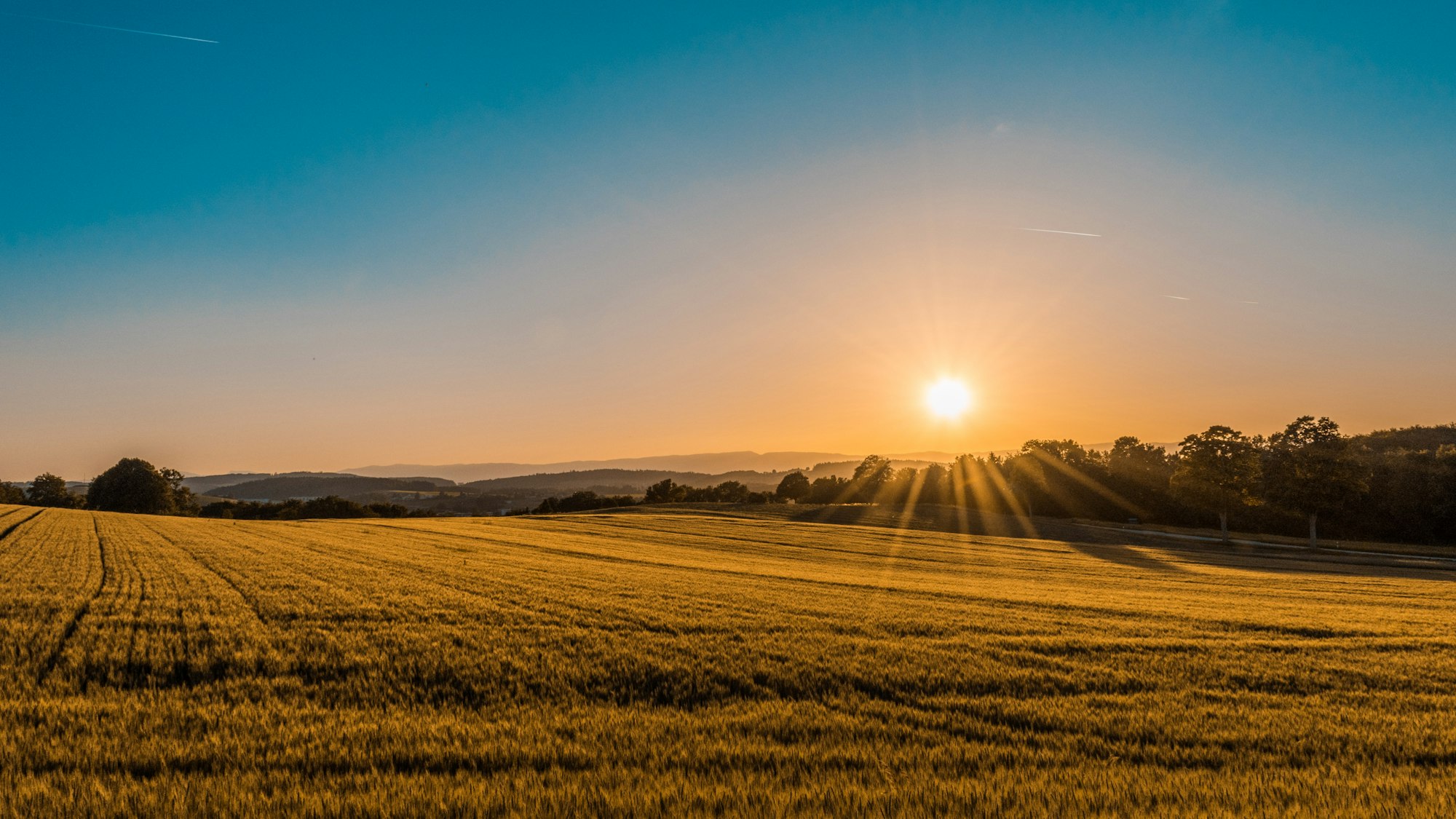 Open green land under wide sky